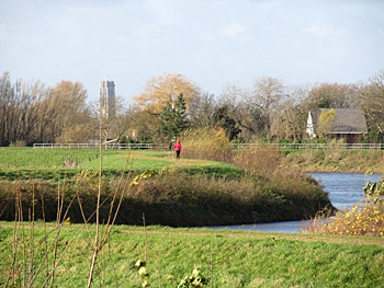 Mechels Broek