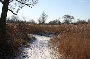 Hobokense Polder