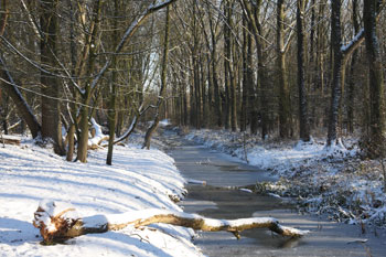 Hobokense Polder - foto Luk Smets