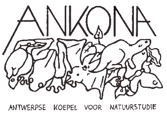 ankona