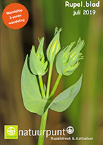 Rupelblad 1/2015