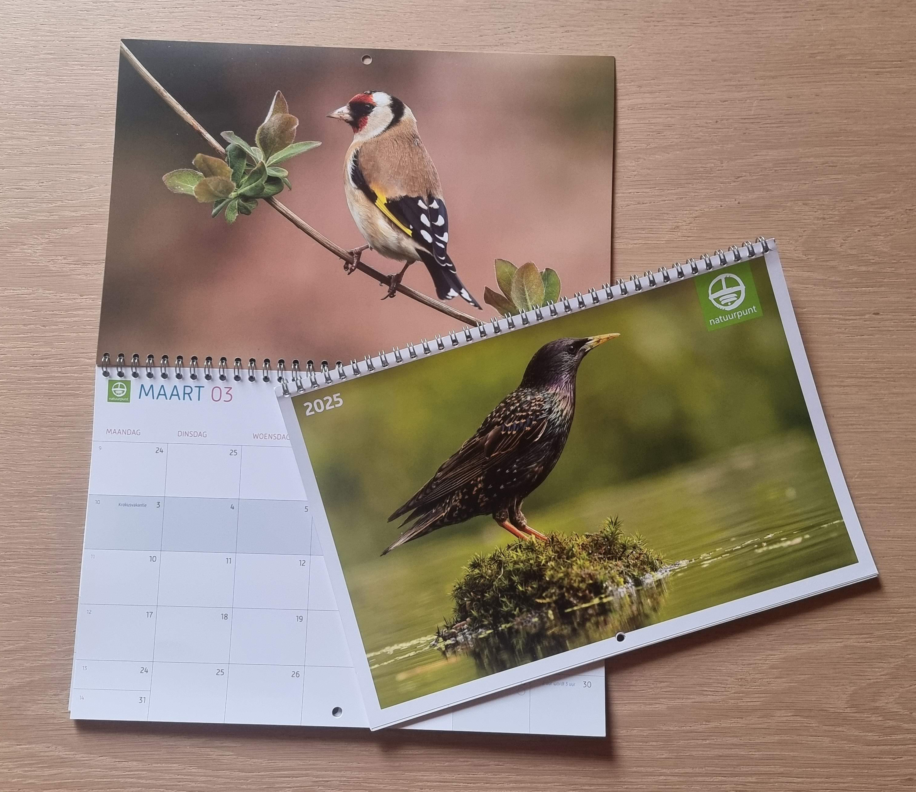 kalender en wenskaarten